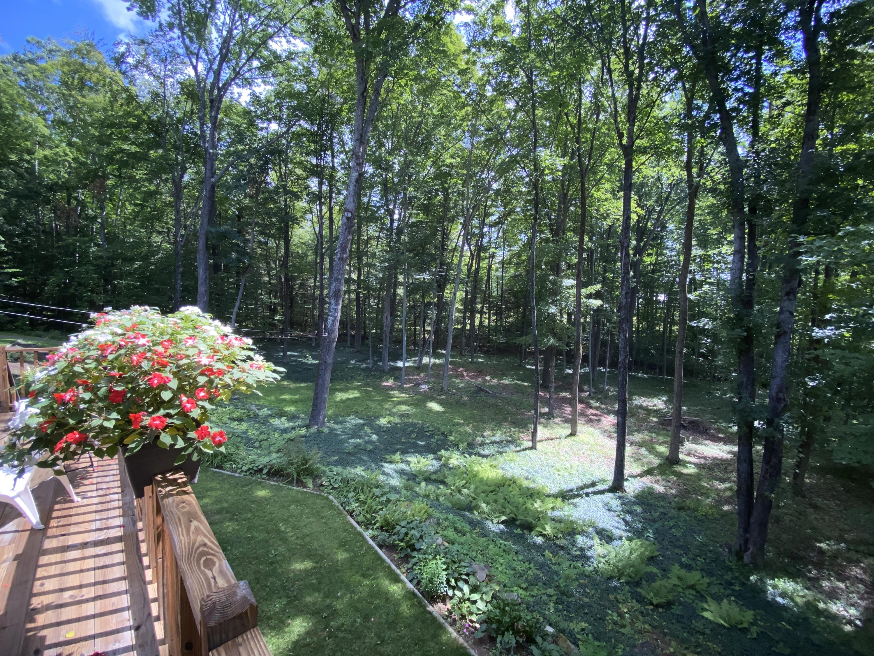 131 Belcher Road Farmington, ME 04938 - Photo 16 of 60 IMG_2262