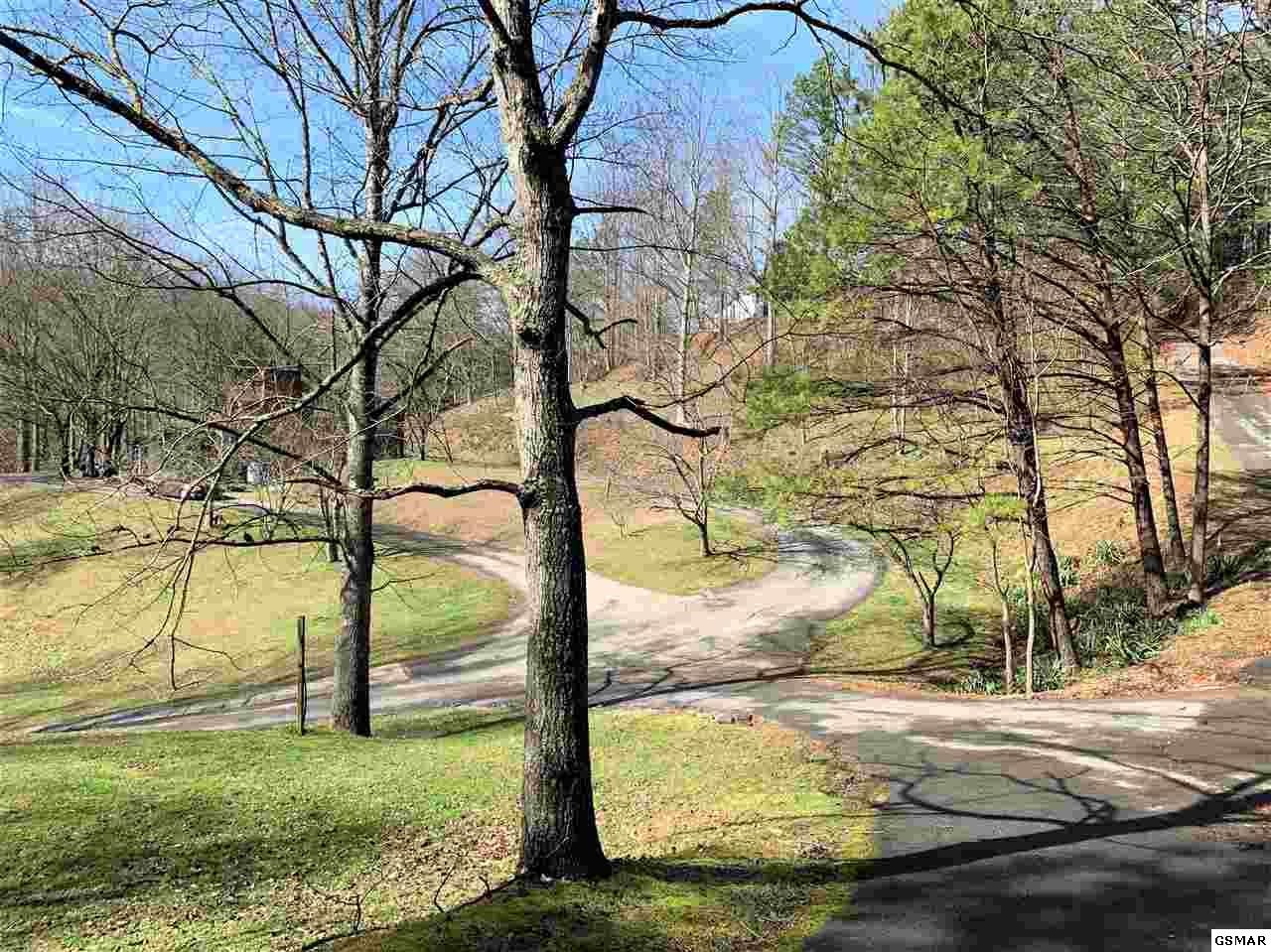 933 Caney Creek Road Sevierville, TN 37863 - Photo 26 of 36