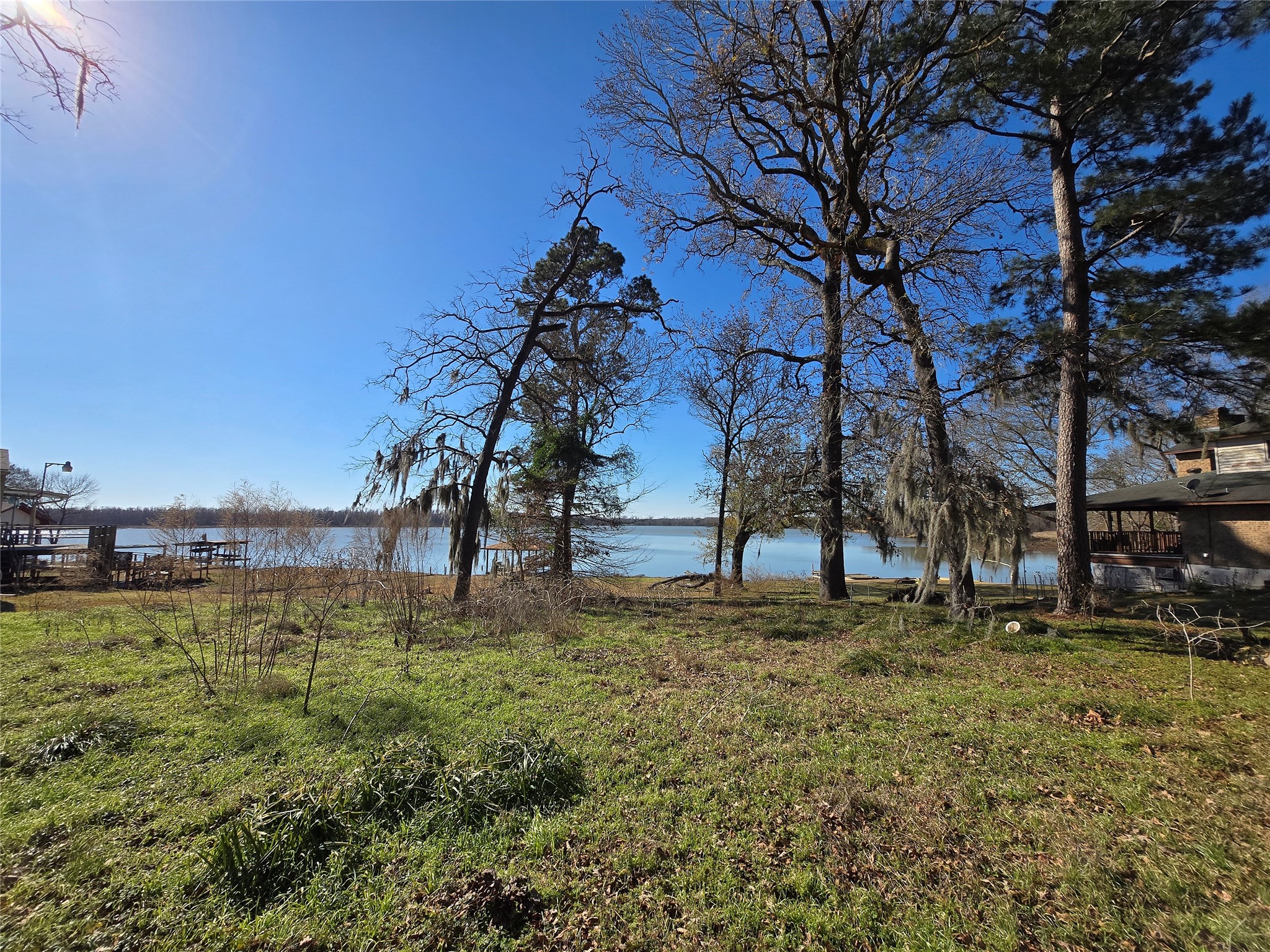 1188 Sportsman Drive Trinity, TX 75862 - Photo 9 of 26 a big yard with lots of green space and trees