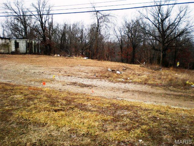 888 Old Rte 66 St. Robert, MO 65584 - Photo 3 of 5