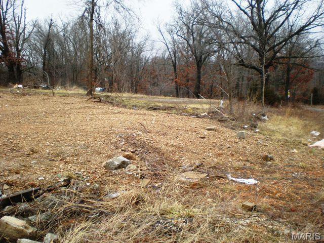 888 Old Rte 66 St. Robert, MO 65584 - Photo 4 of 5