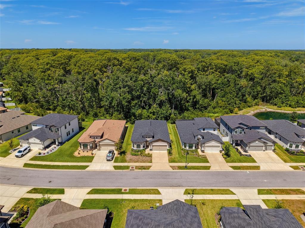 11515 Weaver Hollow Road New Port Richey, FL 34654 - Photo 67 of 74 Gallery Image 67
