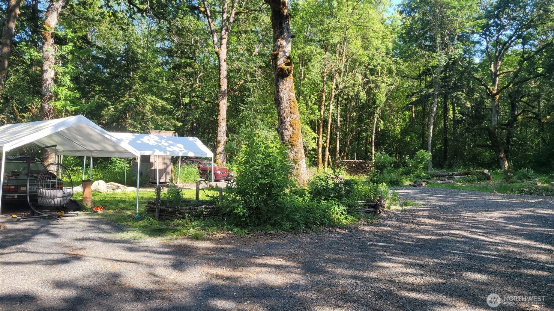 209 Frost Road Winlock, WA 98596 - Photo 1 of 4