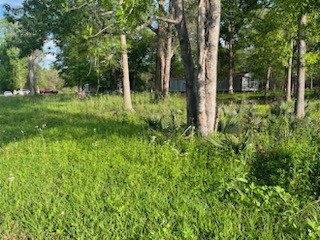 13669 McGregor Road Conroe, TX 77302 - Photo 4 of 9