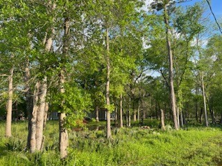 13669 McGregor Road Conroe, TX 77302 - Photo 5 of 9