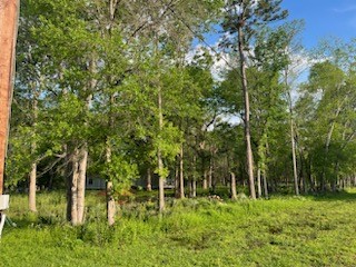 13669 McGregor Road Conroe, TX 77302 - Photo 6 of 9