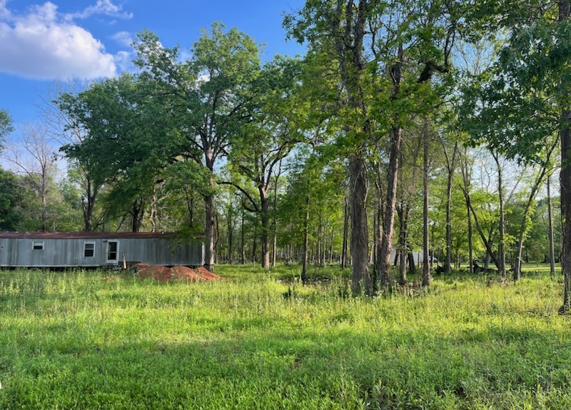 13669 McGregor Road Conroe, TX 77302 - Photo 8 of 9