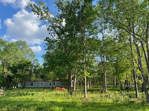 13669 McGregor Road Conroe, TX 77302 - Photo 9 of 9