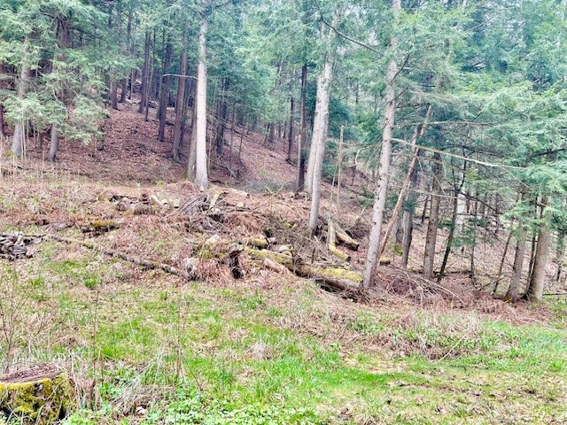 446 Laurel Road Greene, NY 13778 - Photo 1 of 1