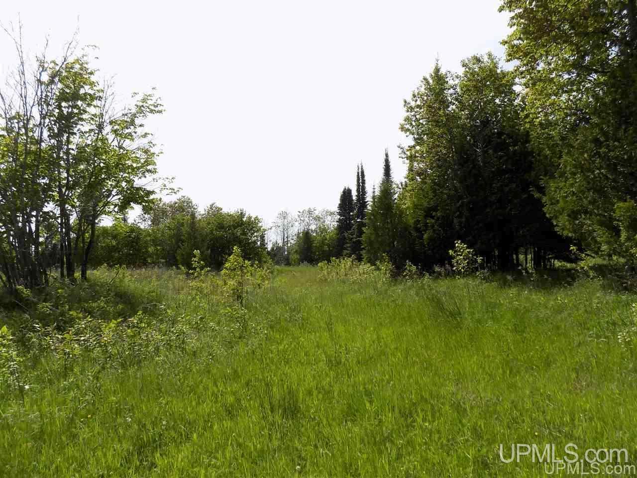 Tbd Miller Point Road Manistique, MI 49854 - Photo 11 of 18