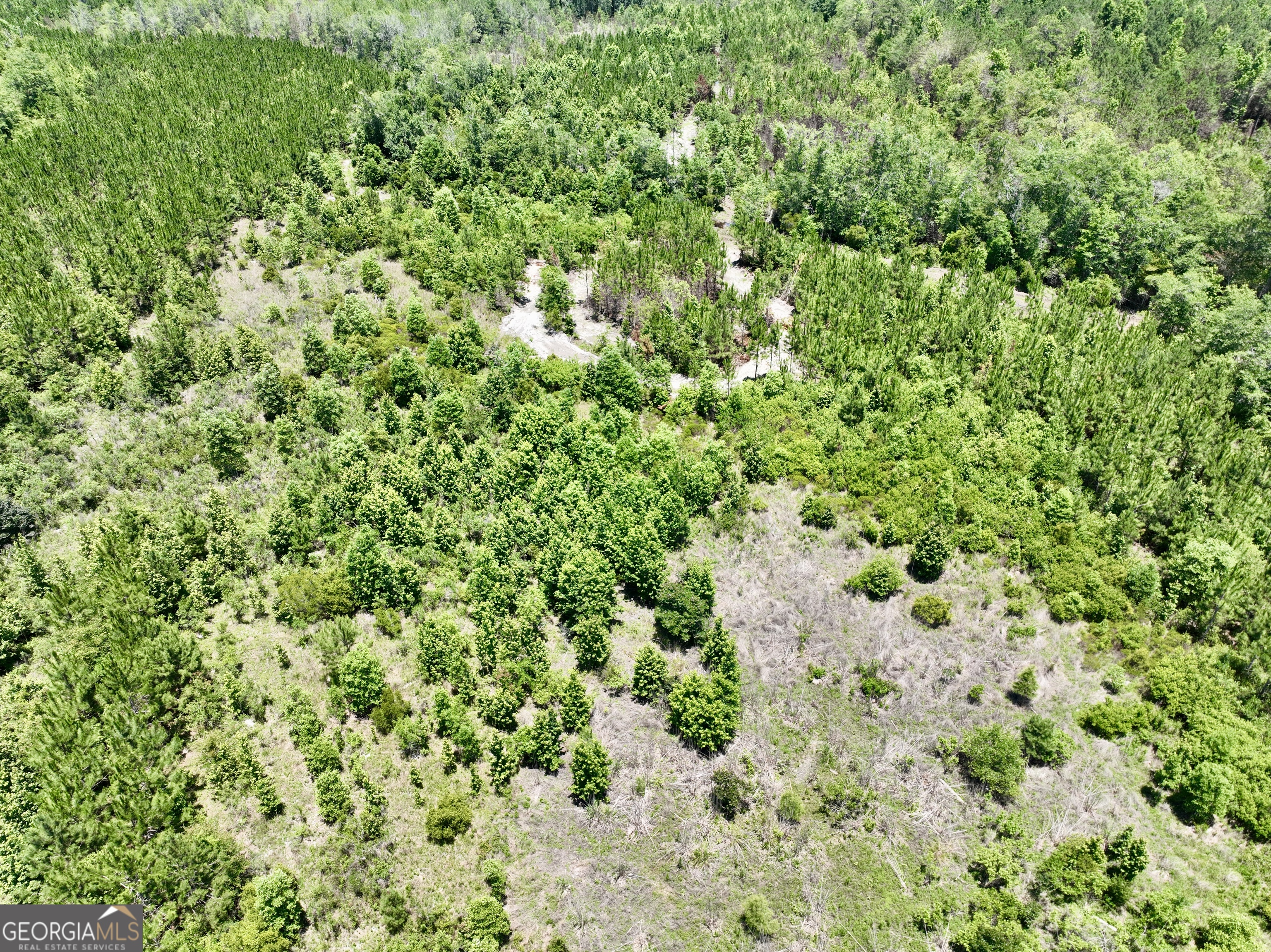0 West River Road Rhine, GA 31077 - Photo 28 of 31