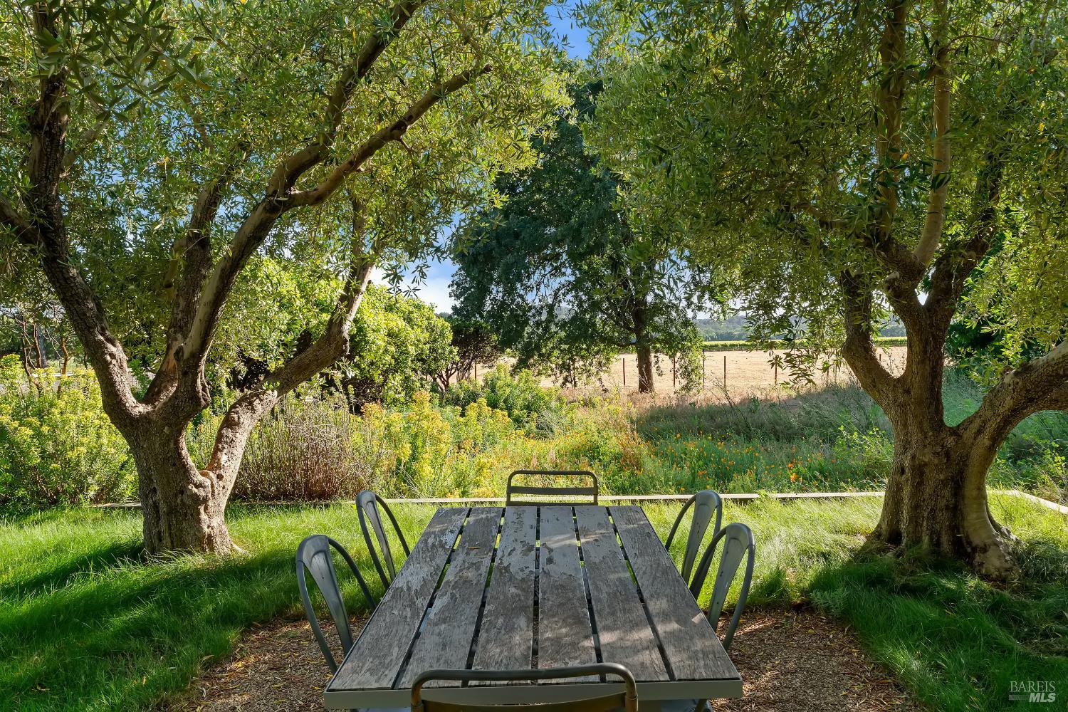 3487 Alexander Valley Road Geyserville, CA 95441 - Photo 44 of 54