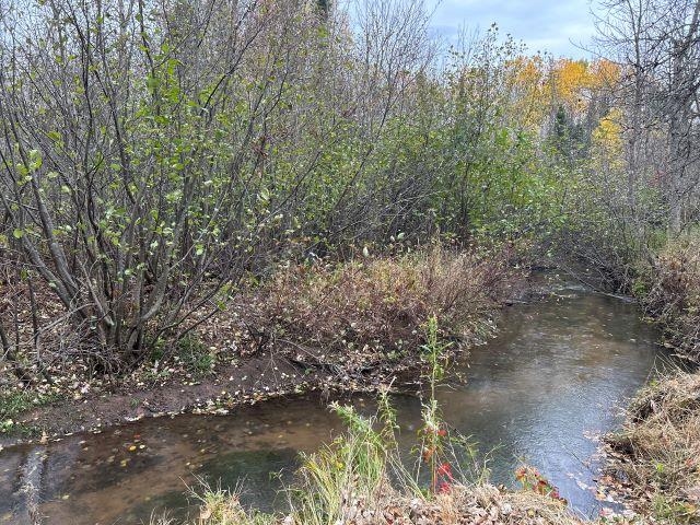 8353 Mannik Road Iron River, WI 54847 - Photo 8 of 48 View of undeveloped land featuring a nearby body of water
