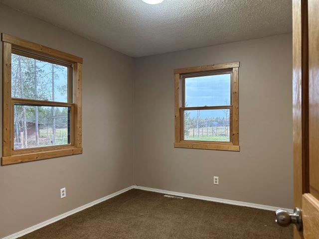 8353 Mannik Road Iron River, WI 54847 - Photo 44 of 48 Empty room featuring a textured ceiling and carpet floors