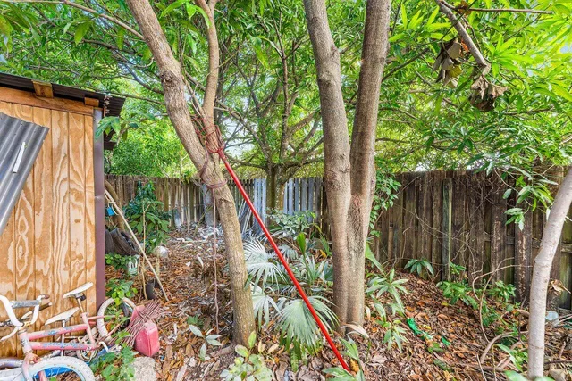 a view of a backyard with plants and large trees