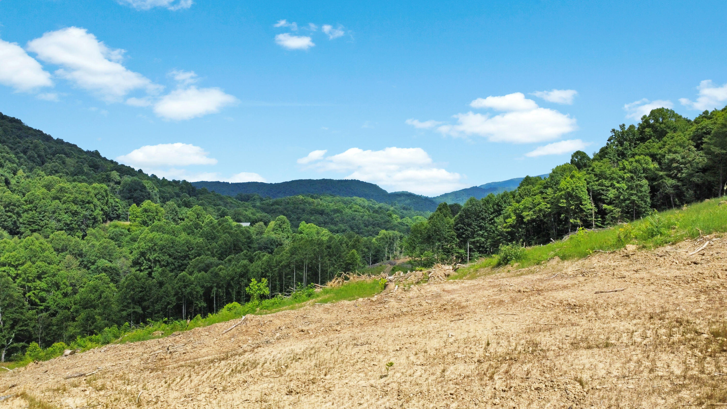 Tbd Slings Gap Road Bent Mountain, VA 24059 - Photo 16 of 38 Big Sky Tract