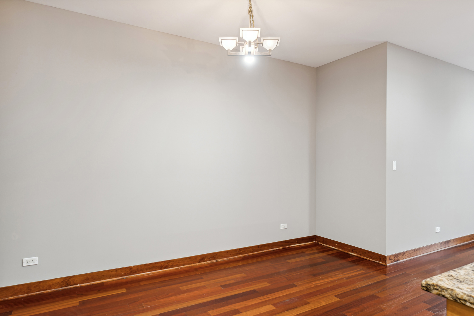 421 East 45th Street, Unit 2E Chicago, IL 60653 - Photo 9 of 22