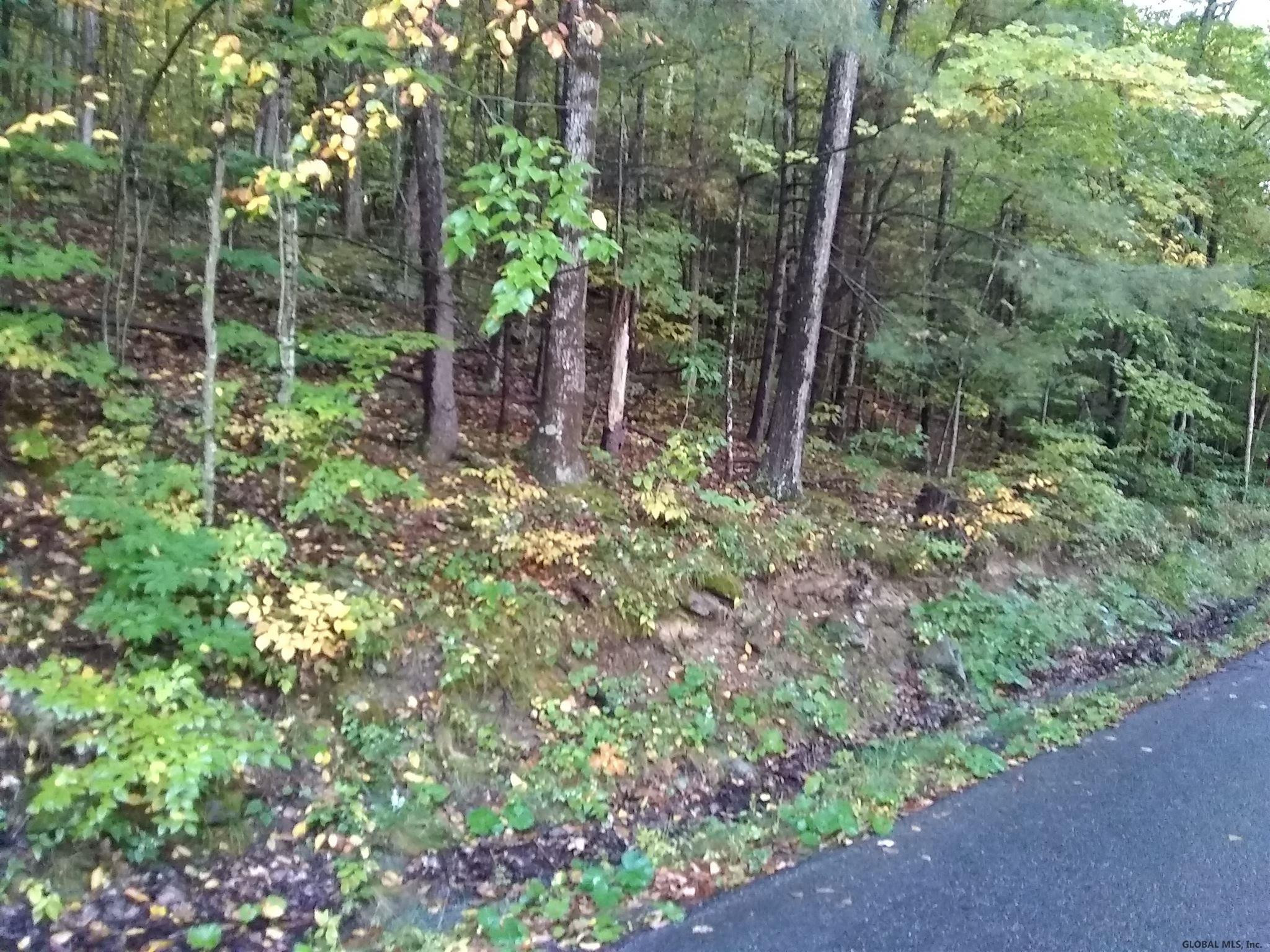 Hill Road Petersburgh, NY 12138 - Photo 1 of 5 Photo 1