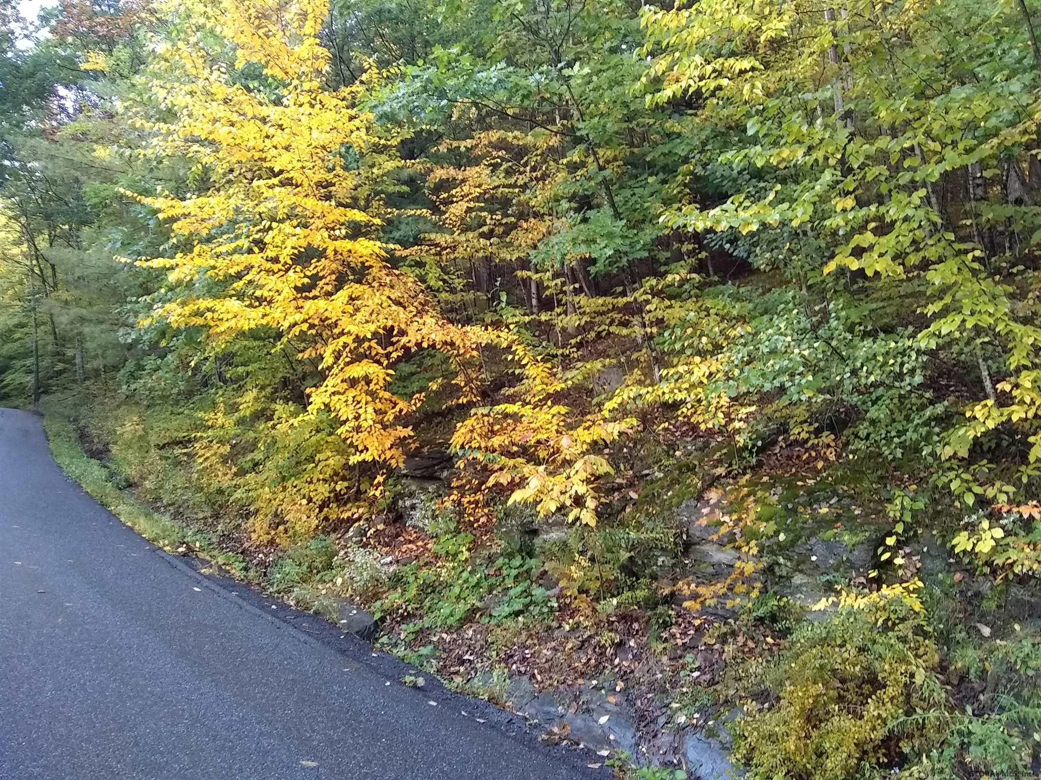 Hill Road Petersburgh, NY 12138 - Photo 3 of 5 Photo 3