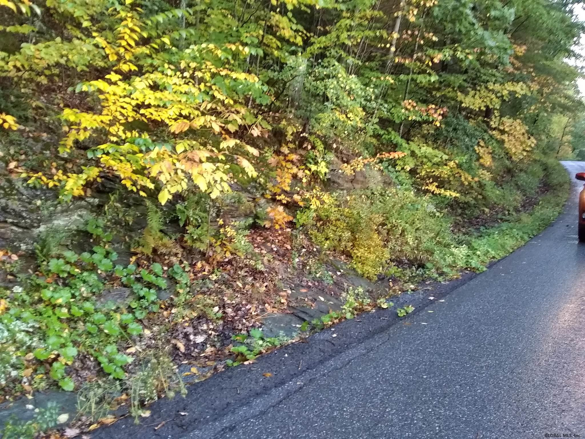 Hill Road Petersburgh, NY 12138 - Photo 4 of 5 Photo 4