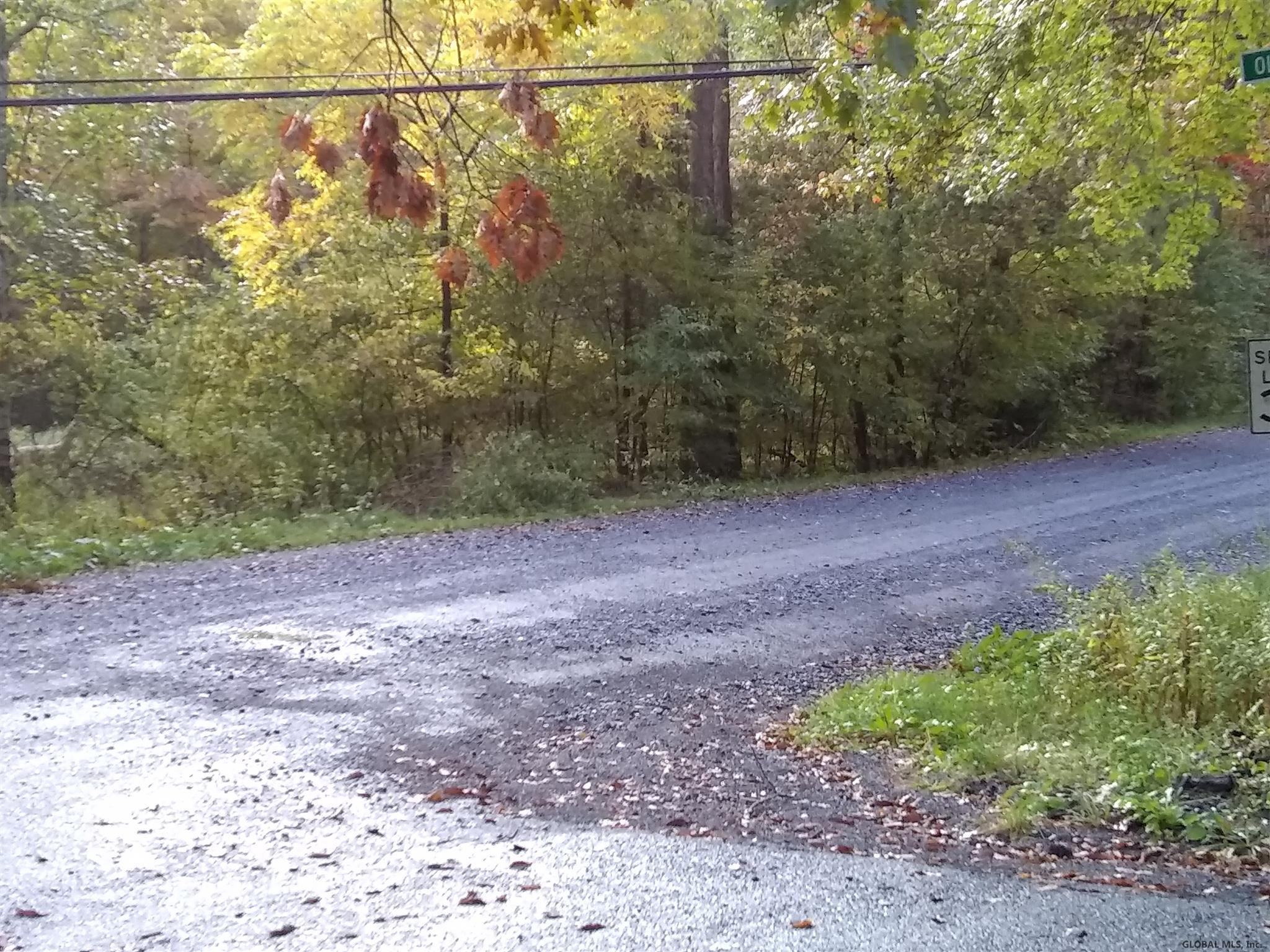 Hill Road Petersburgh, NY 12138 - Photo 5 of 5 Photo 5