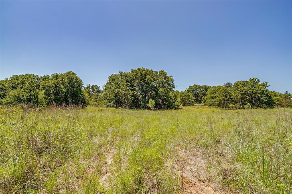613 County Road 3848 Poolville, TX 76487 - Photo 12 of 40 a view of lake and trees