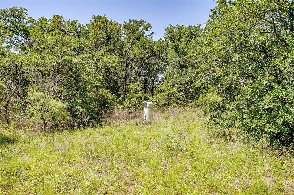 613 County Road 3848 Poolville, TX 76487 - Photo 15 of 40 a plant is in front of a yard