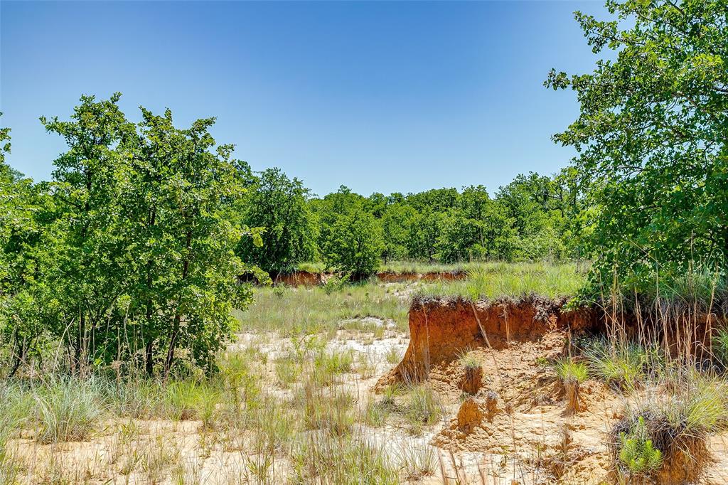 613 County Road 3848 Poolville, TX 76487 - Photo 16 of 40 a view of a lake view with a garden