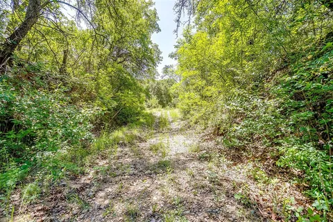 a view of a green yard