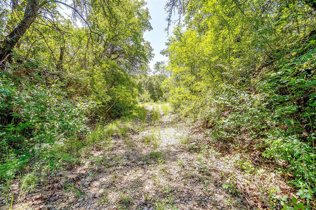 613 County Road 3848 Poolville, TX 76487 - Photo 17 of 40 a view of a green yard
