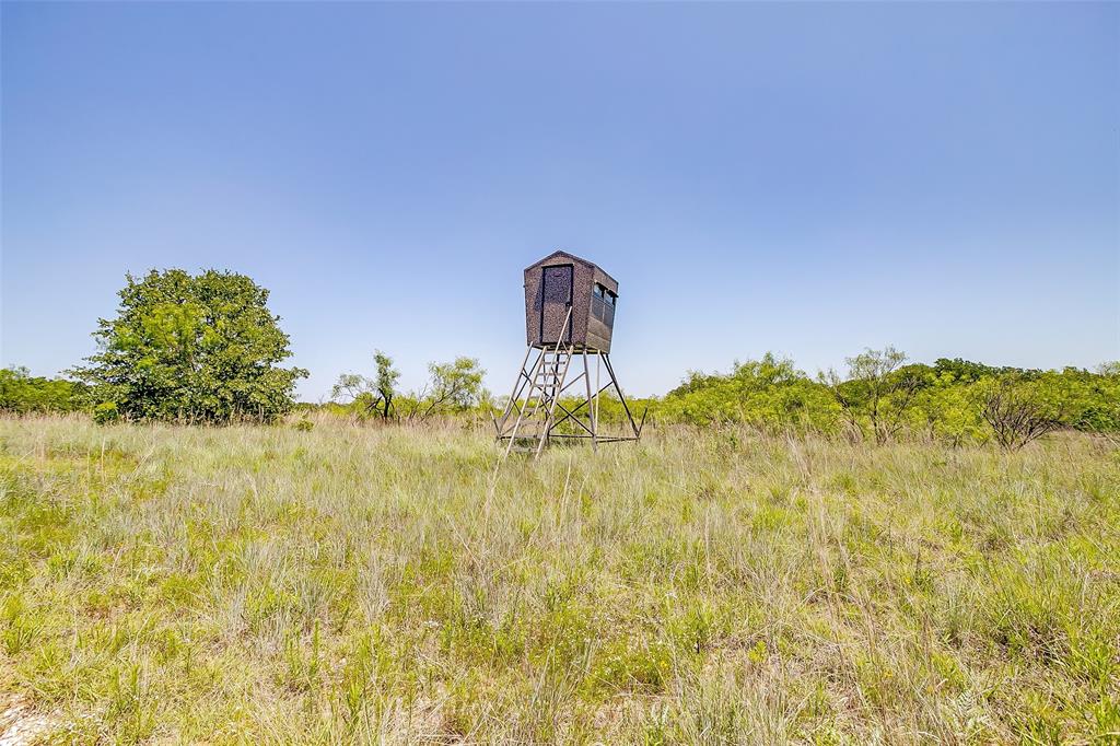 613 County Road 3848 Poolville, TX 76487 - Photo 19 of 40 a close up of a plant in a garden