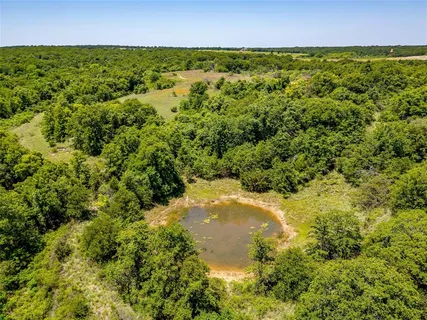 a view of lake with lots of palm trees