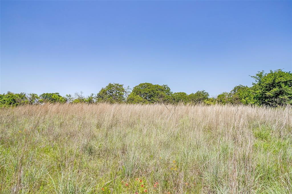 613 County Road 3848 Poolville, TX 76487 - Photo 22 of 40 a view of lake with lots of palm trees