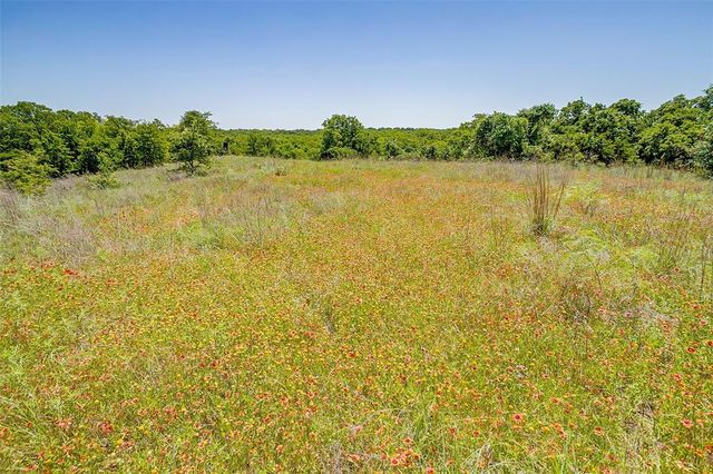 a view of a green field with lots of bushes