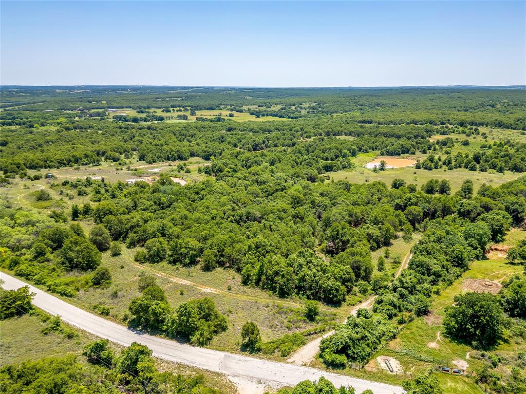 613 County Road 3848 Poolville, TX 76487 - Photo 34 of 40 a view of a green field with lots of bushes