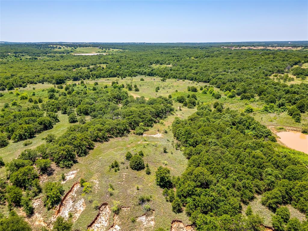 613 County Road 3848 Poolville, TX 76487 - Photo 38 of 40 a view of a green field with lots of bushes
