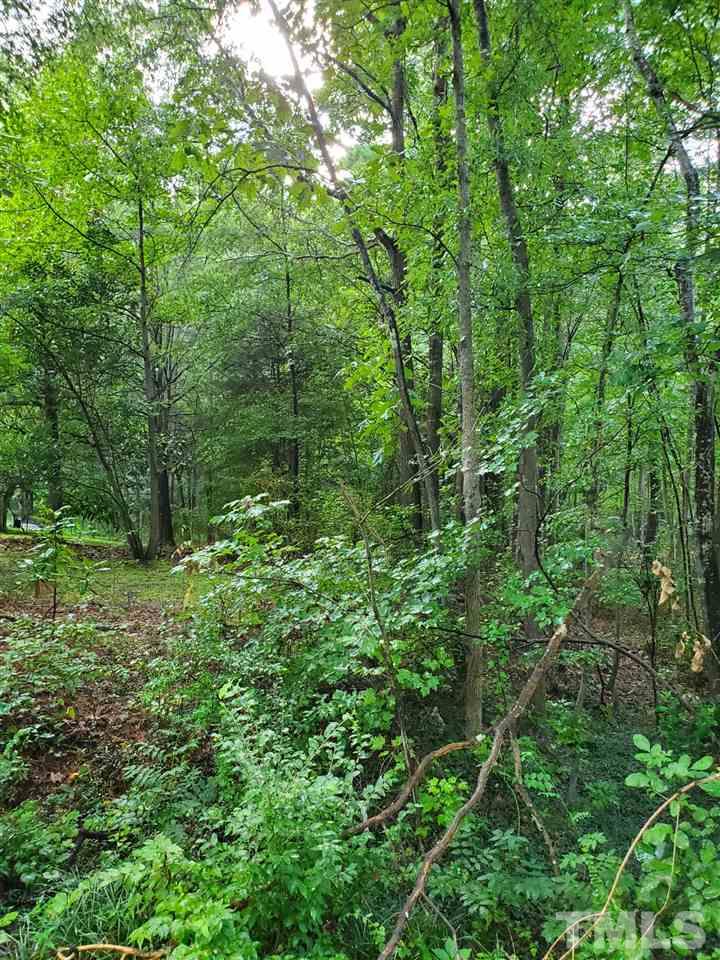 3015 Ruth Street Durham, NC 27704 - Photo 2 of 3 Gallery Image 2