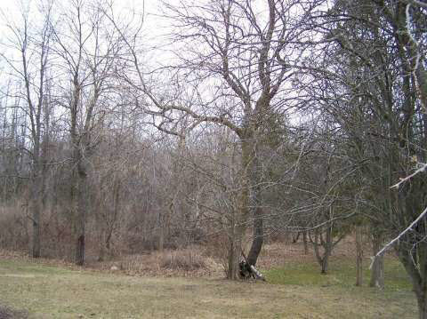 2366 North McKinley Road Flushing, MI 48433 - Photo 26 of 36 20397457-25.JPG