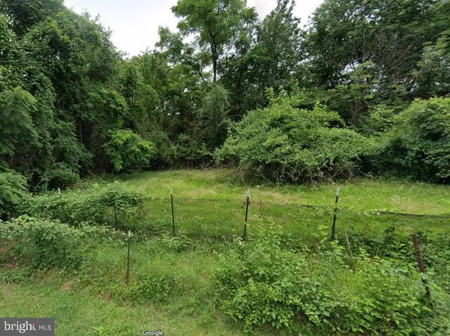 a view of a green field with lots of bushes
