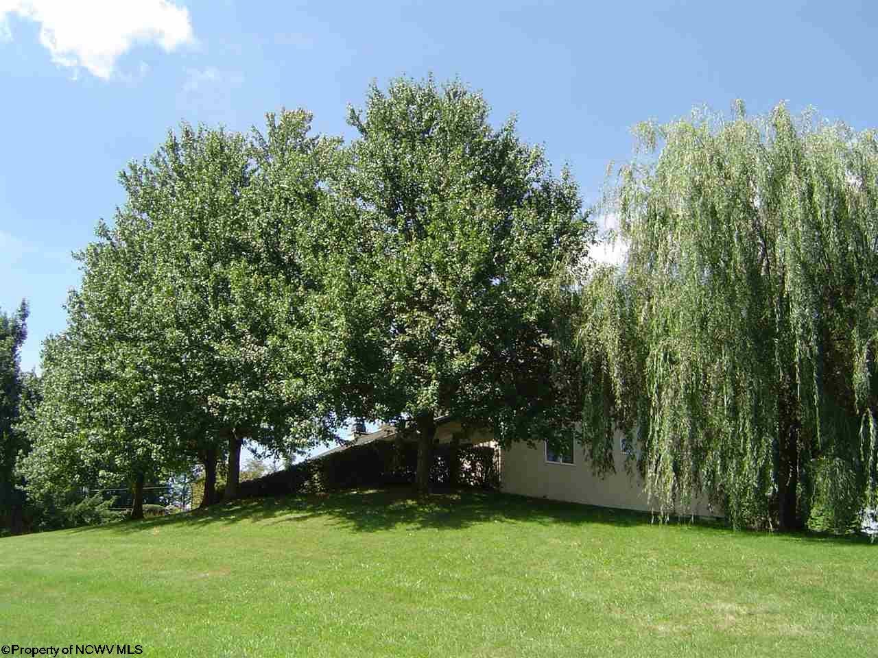 427 Co Rte 9/20 Buckhannon, WV 26201 - Photo 19 of 20 Gallery Image 19