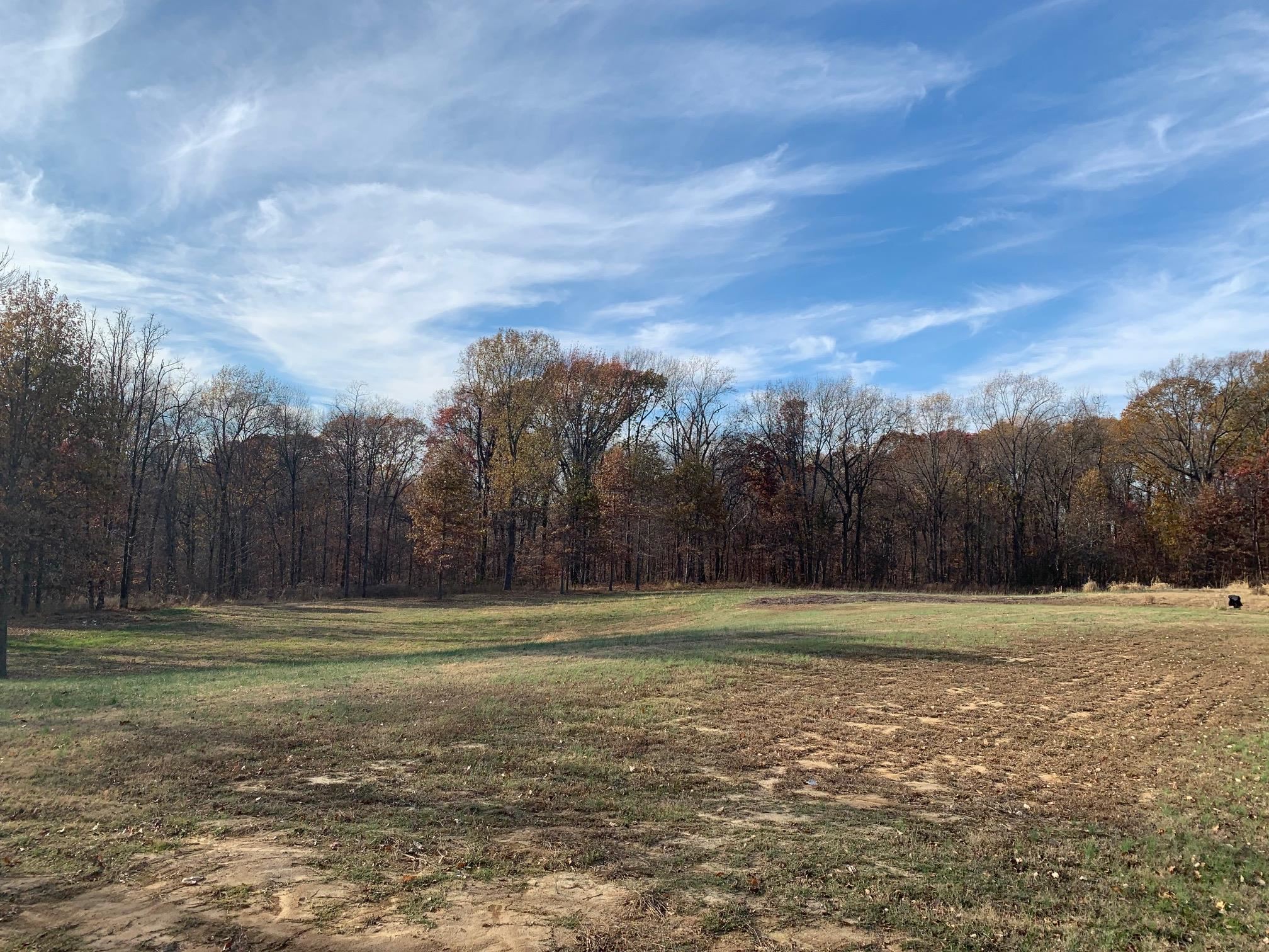 4169 Chisholm Lake Road Ripley, TN 38063 - Photo 3 of 21 a view of outdoor space with city view