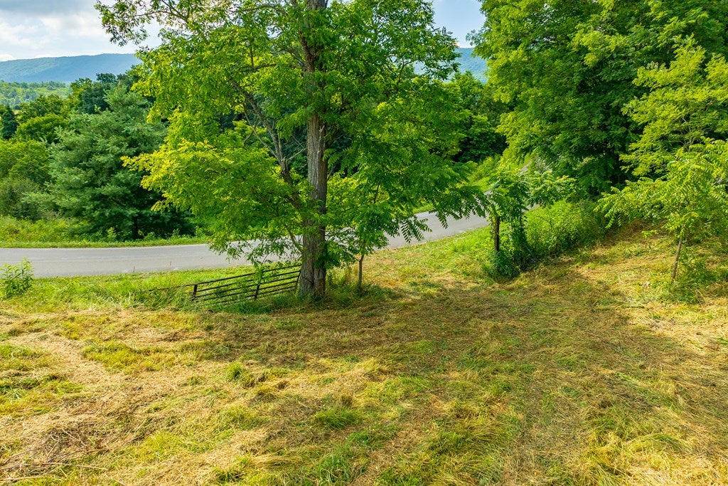 Tbd Raleigh Grayson Turnpike, Unit 44 Bland, VA 24315 - Photo 35 of 41 Gallery Image 35