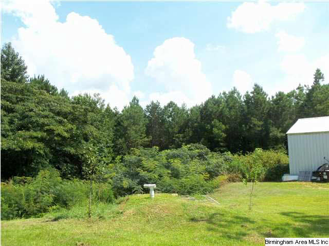 2995 County Road 49 Fayette, AL 35555 - Photo 30 of 32