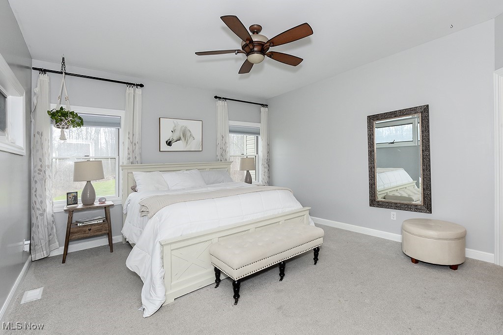 11651 Colburn Road Painesville, OH 44077 - Photo 19 of 42 1st floor master bedroom