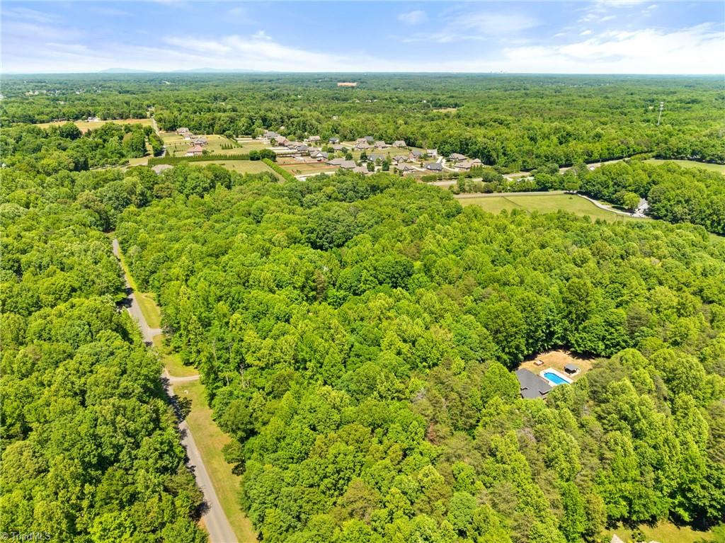 355 Rabbit Farm Trail Advance, NC 27006 - Photo 49 of 50