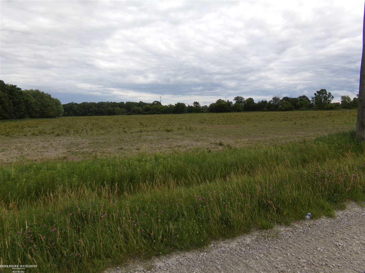 Brown Road Avoca, MI 48006 - Photo 3 of 4