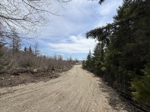 Lot 6 Holmes Bay Farms Road Whiting, ME 04691 - Photo 7 of 15 IMG_9118