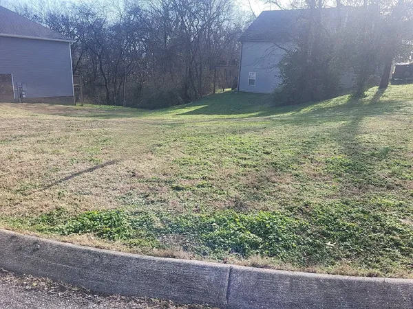 a view of a backyard