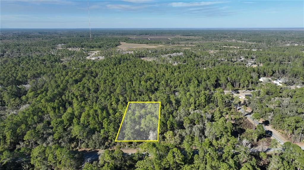 Saffron Avenue Eustis, FL 32736 - Photo 3 of 5 an aerial view of a houses with a yard