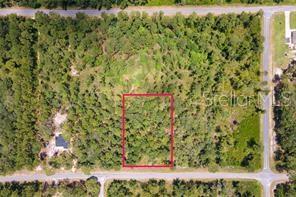 Saffron Avenue Eustis, FL 32736 - Photo 4 of 5 a view of a yard